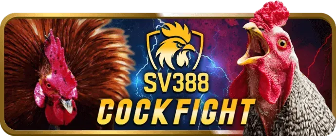 Hỗ trợ khách hàng 24/7 ee88